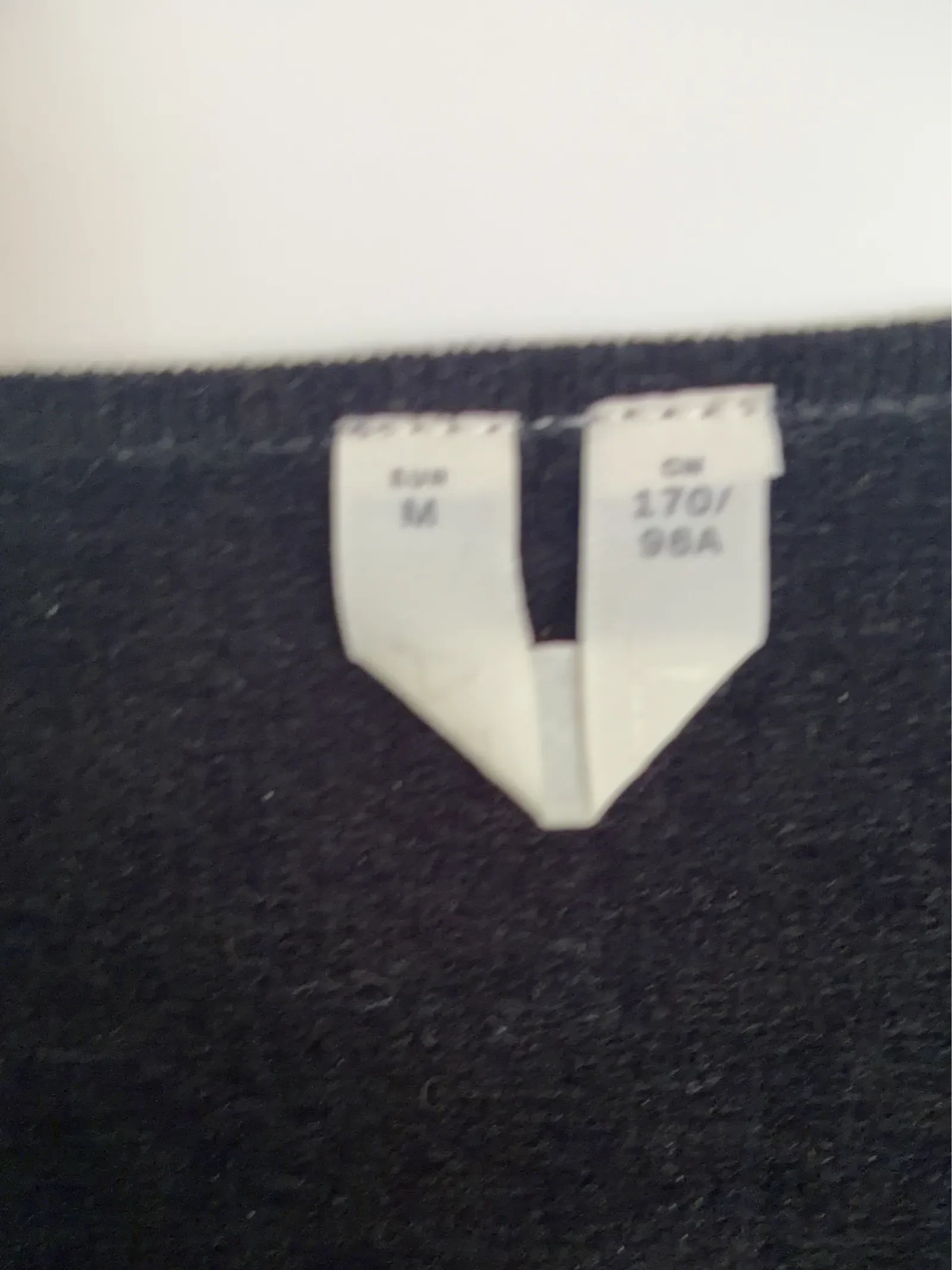 Miniatyrbild 2